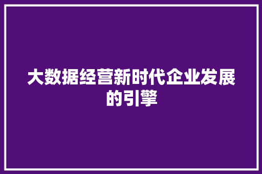 大数据经营新时代企业发展的引擎
