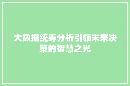 大数据统筹分析引领未来决策的智慧之光