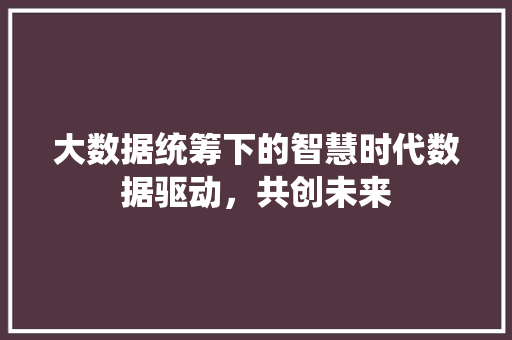 大数据统筹下的智慧时代数据驱动，共创未来