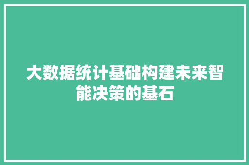 大数据统计基础构建未来智能决策的基石