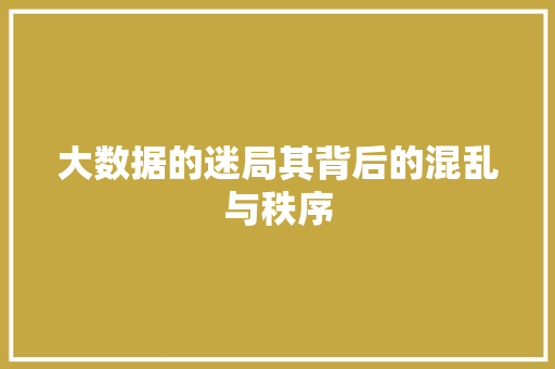 大数据的迷局其背后的混乱与秩序