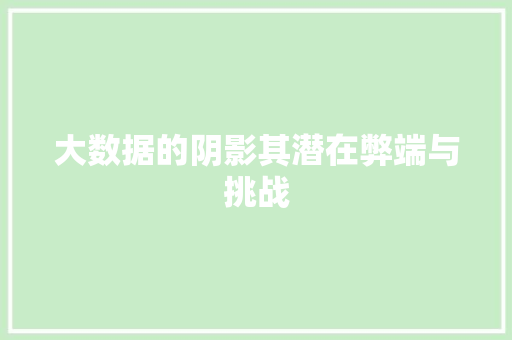 大数据的阴影其潜在弊端与挑战