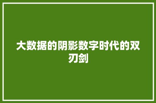 大数据的阴影数字时代的双刃剑