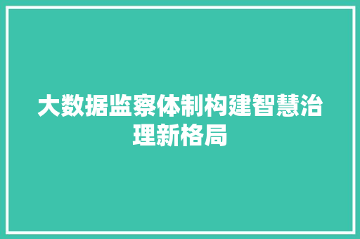 大数据监察体制构建智慧治理新格局