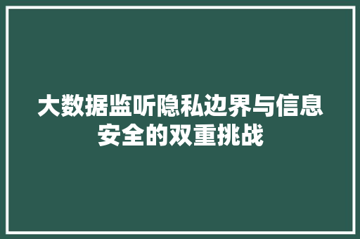 大数据监听隐私边界与信息安全的双重挑战