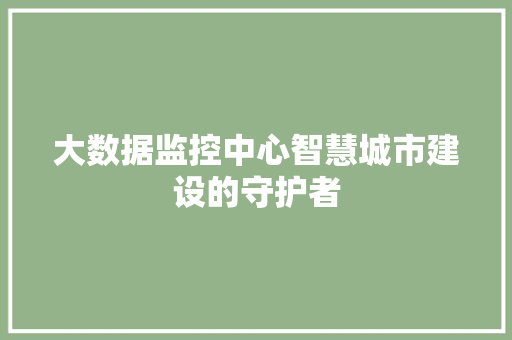 大数据监控中心智慧城市建设的守护者
