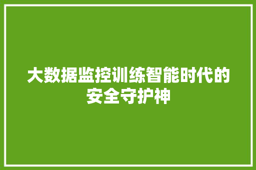 大数据监控训练智能时代的安全守护神