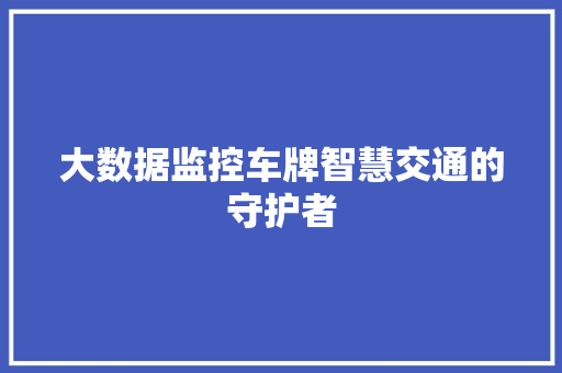 大数据监控车牌智慧交通的守护者