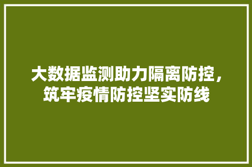 大数据监测助力隔离防控，筑牢疫情防控坚实防线