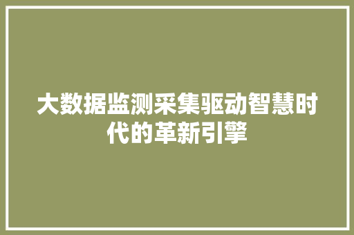 大数据监测采集驱动智慧时代的革新引擎