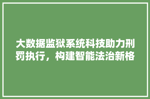 大数据监狱系统科技助力刑罚执行，构建智能法治新格局
