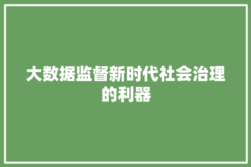 大数据监督新时代社会治理的利器