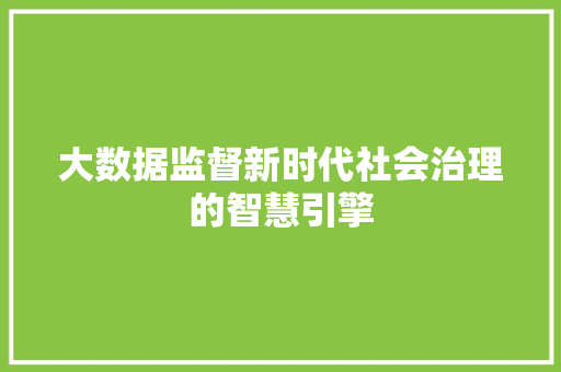 大数据监督新时代社会治理的智慧引擎