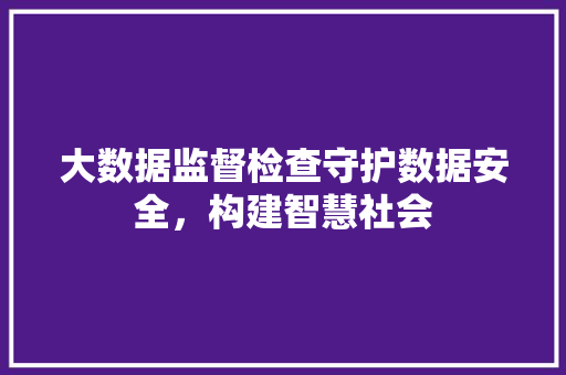 大数据监督检查守护数据安全，构建智慧社会