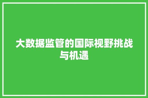 大数据监管的国际视野挑战与机遇