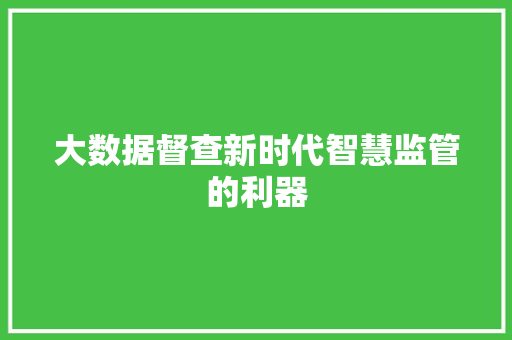 大数据督查新时代智慧监管的利器
