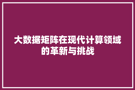 大数据矩阵在现代计算领域的革新与挑战