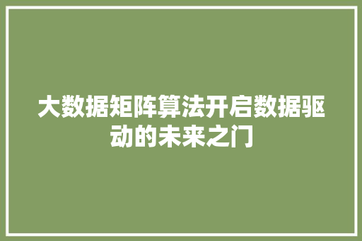 大数据矩阵算法开启数据驱动的未来之门
