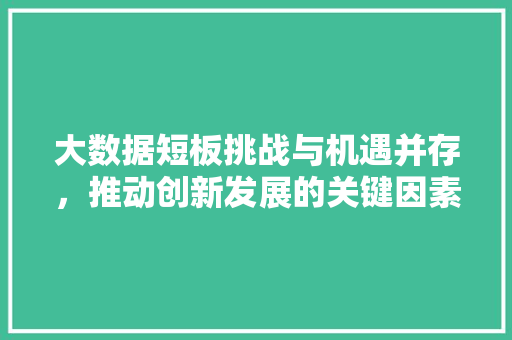 大数据短板挑战与机遇并存，推动创新发展的关键因素