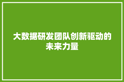 大数据研发团队创新驱动的未来力量