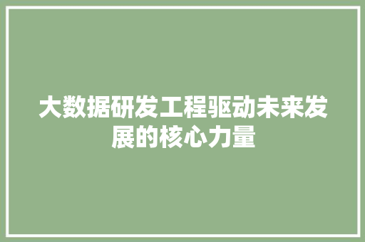 大数据研发工程驱动未来发展的核心力量
