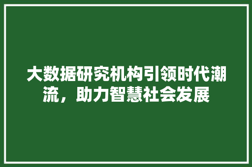 大数据研究机构引领时代潮流，助力智慧社会发展