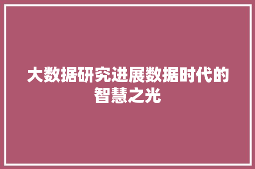 大数据研究进展数据时代的智慧之光
