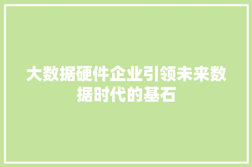 大数据硬件企业引领未来数据时代的基石