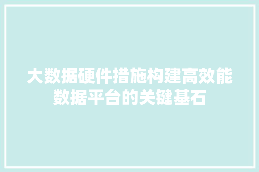 大数据硬件措施构建高效能数据平台的关键基石