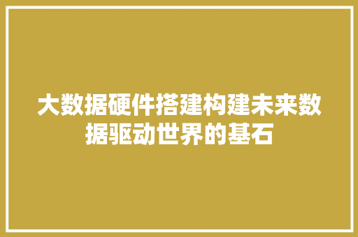 大数据硬件搭建构建未来数据驱动世界的基石