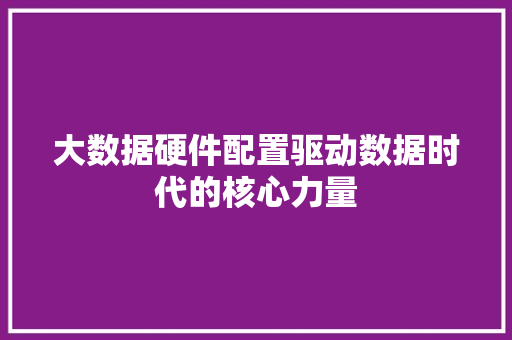 大数据硬件配置驱动数据时代的核心力量