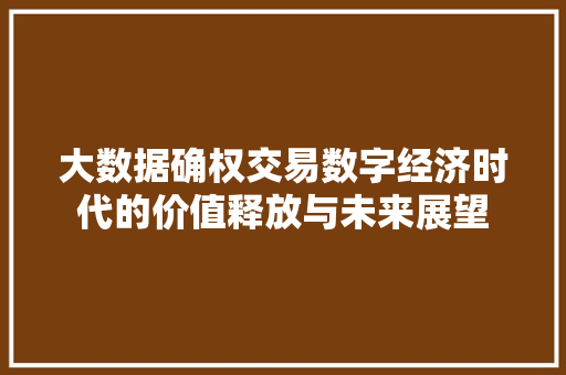 大数据确权交易数字经济时代的价值释放与未来展望