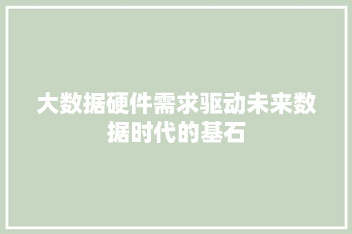 大数据硬件需求驱动未来数据时代的基石