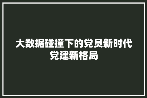 大数据碰撞下的党员新时代党建新格局