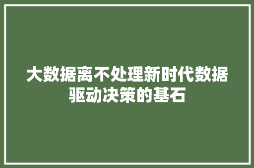 大数据离不处理新时代数据驱动决策的基石