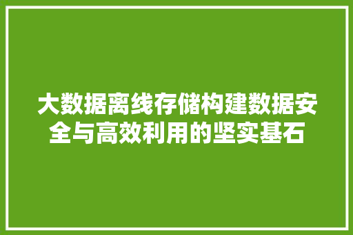 大数据离线存储构建数据安全与高效利用的坚实基石