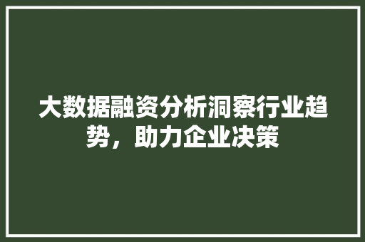 大数据融资分析洞察行业趋势，助力企业决策