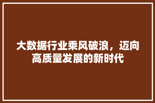 大数据行业乘风破浪，迈向高质量发展的新时代