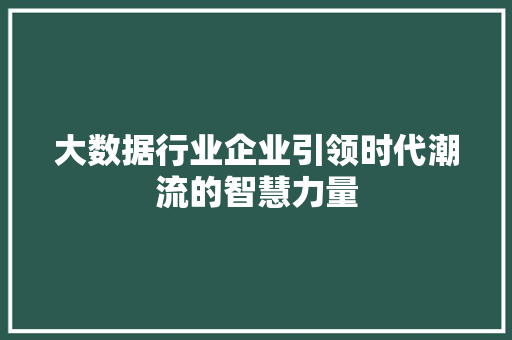 大数据行业企业引领时代潮流的智慧力量