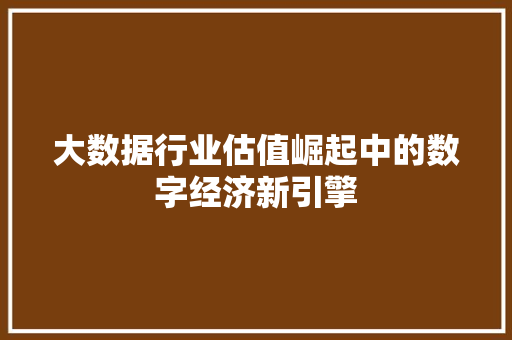 大数据行业估值崛起中的数字经济新引擎