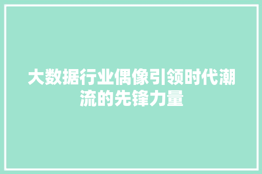 大数据行业偶像引领时代潮流的先锋力量