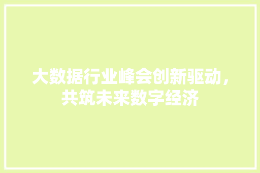 大数据行业峰会创新驱动，共筑未来数字经济