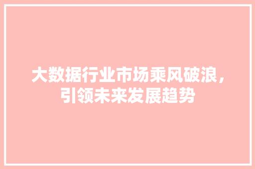大数据行业市场乘风破浪，引领未来发展趋势