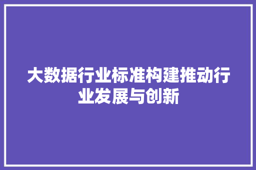 大数据行业标准构建推动行业发展与创新