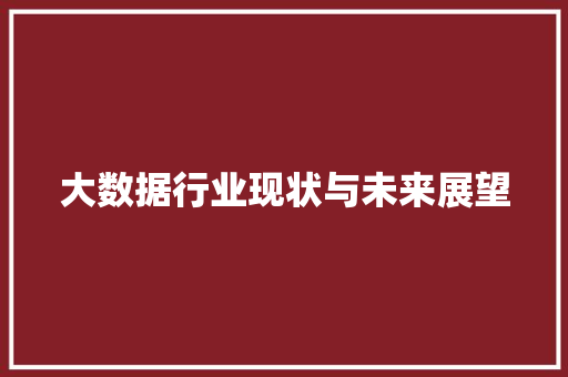 大数据行业现状与未来展望 市场营销范文