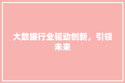 大数据行业驱动创新，引领未来