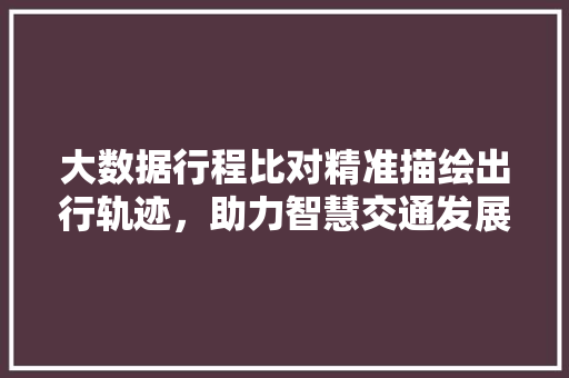 大数据行程比对精准描绘出行轨迹，助力智慧交通发展
