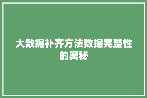 大数据补齐方法数据完整性的奥秘