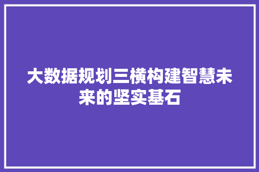 大数据规划三横构建智慧未来的坚实基石