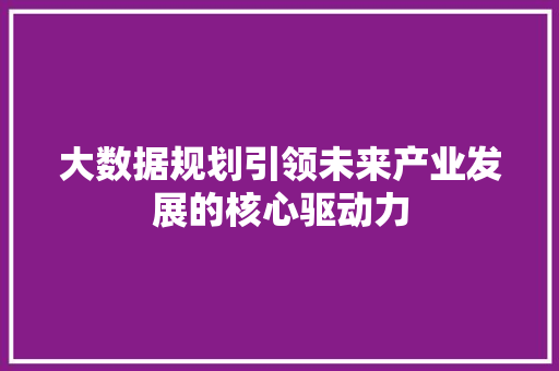 大数据规划引领未来产业发展的核心驱动力